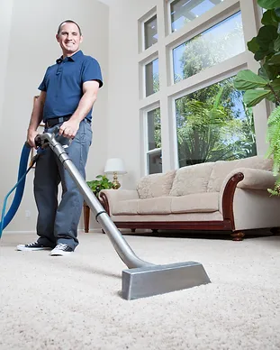 Professional Carpet Cleaning