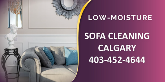 Sofa Furniture Cleaning Services